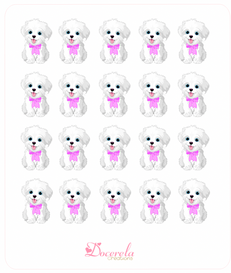 Maltese with bow